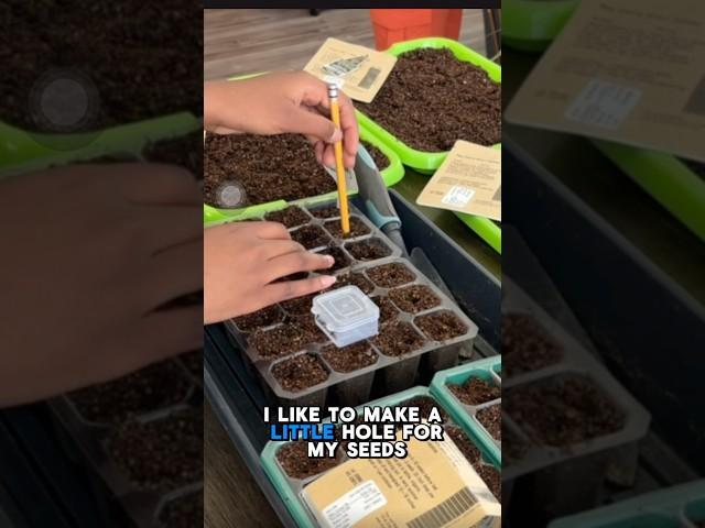 Simple seed starting mix #seedstarting #gardeningtips #gardendiy