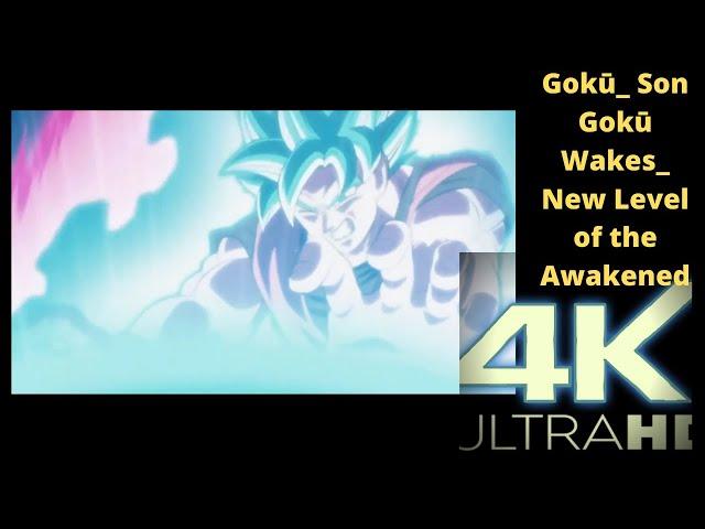 The Ultimate Adversary Approaches Gokū  Son Gokū Wakes  New Level of the Awakened