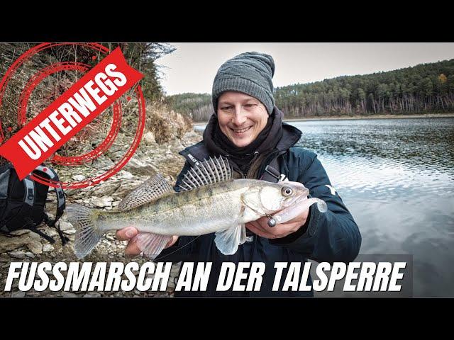 ZANDER Vlog | Talsperre vom Ufer