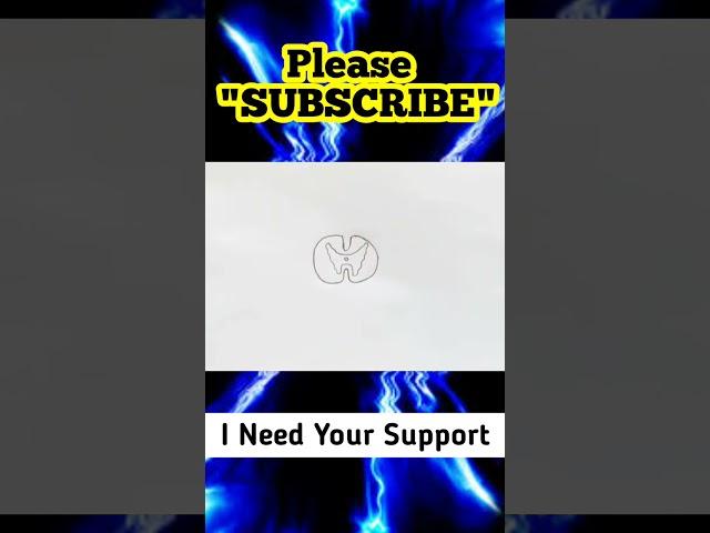 Draw T.S of Spinal cord #shorts #ytshortsindia