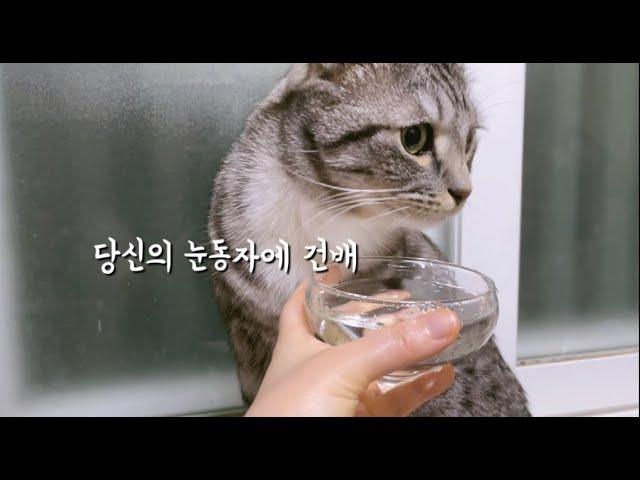 우리집 완쟈님