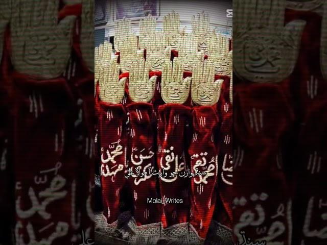 nadeem sarwar shindi noha #karbala #yaali #nohahazratabbas #islamicpreacher #noha #unfrezzmyaccount