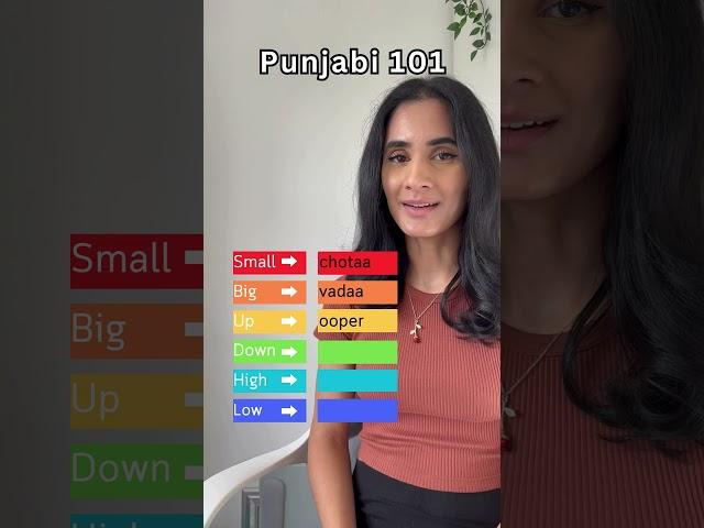 Learn Punjabi