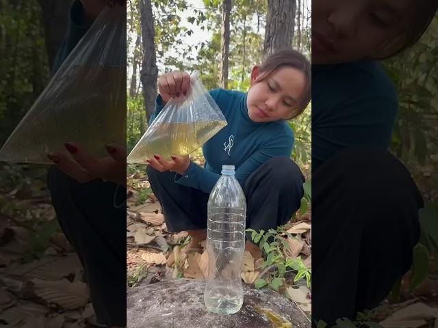Survival Skills: easy methood saving water transfer to bottle #camping #bushcraft #water #smart