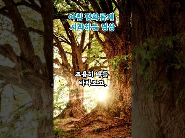 아침 평화롭게 시작하는 명상 부처님말씀|아침명상|마음챙김|수행|아침수행|감성명상|불교명언|부처님가르침|등불편지|영적성장|불교오디오북