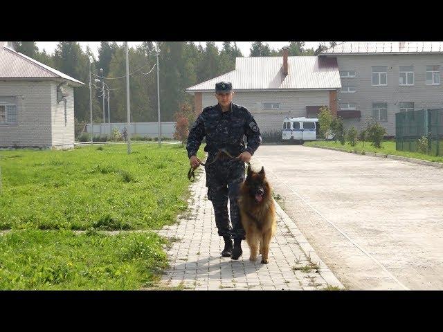 Сергей Непряхин - Человек и собака