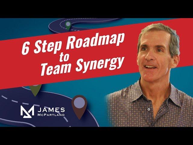 6 Step Roadmap to Team Synergy by James McPartland