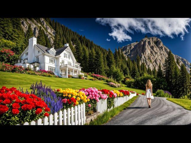 SWISS - A Scenic Expedition: Switzerland's Most Beautiful Drives   4K  (1)