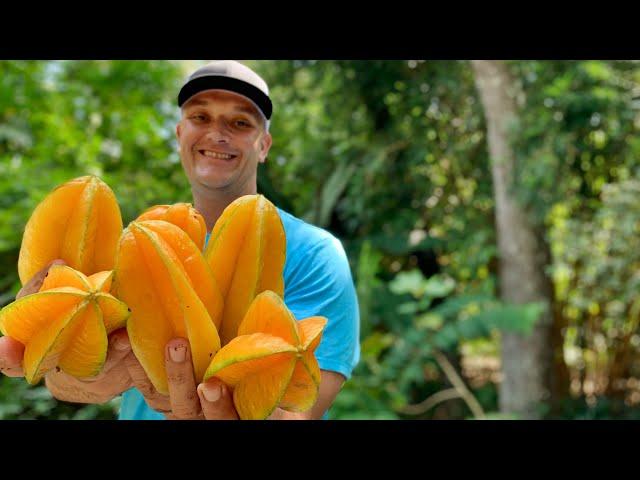 Growing 10 Different Varieties of Starfruit Carambola!  Which Is The Most Delicious?