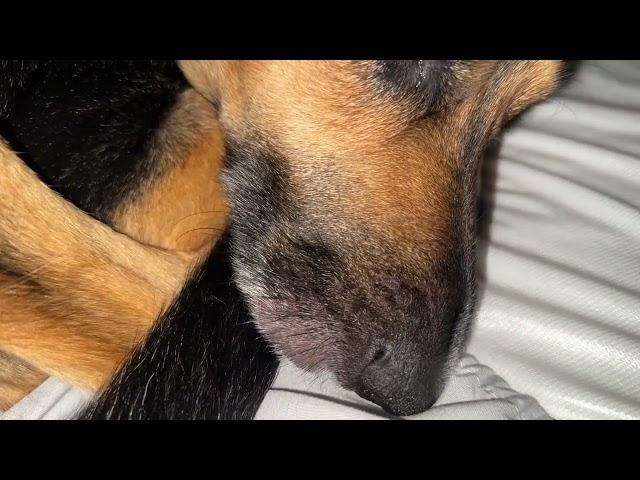 Luci Facial Twitching