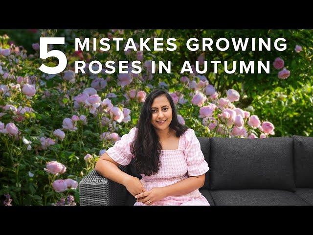 5 Mistakes To Avoid With Your Roses In Fall Season | Cottage Garden Roses 