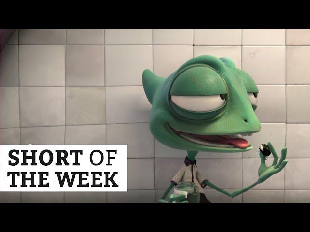 Darrel | Short of the Week #055