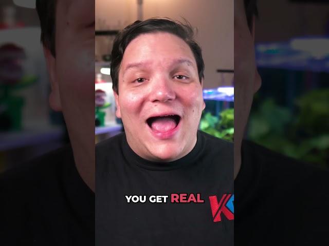 STOP Guessing! Get FREE YouTube Feedback Today