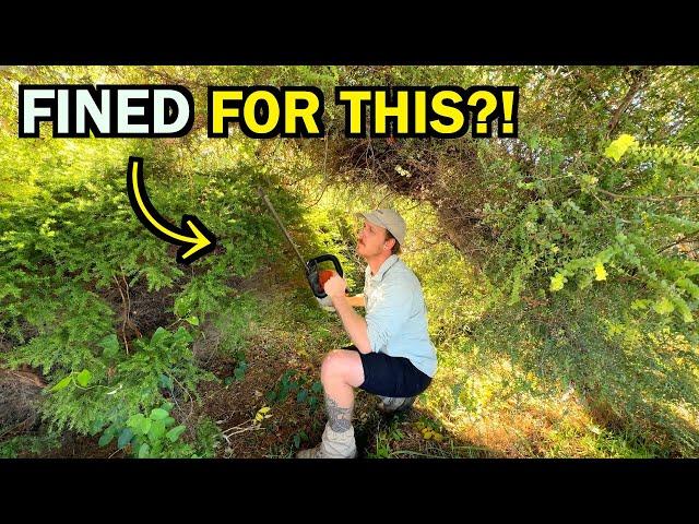 They THREATENED to FINE her for THIS?! - I was the ANSWER to her PRAYERS