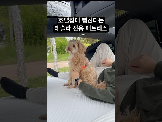 테슬라 차박 & 차크닉 이거 하나면 끝납니다 #shorts