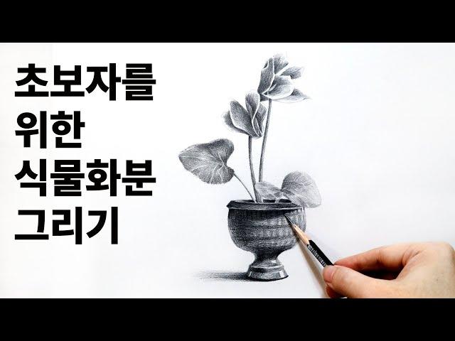 Pencil Drawing Plant Flower pot / Basic drawing, pencil drawing