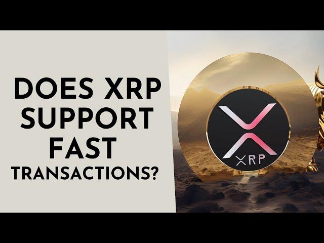 Does XRP Support Fast Transactions? 