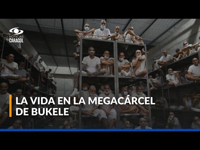 En catres de acero y confinados: así viven reos en megacárcel de Nayib Bukele en El Salvador