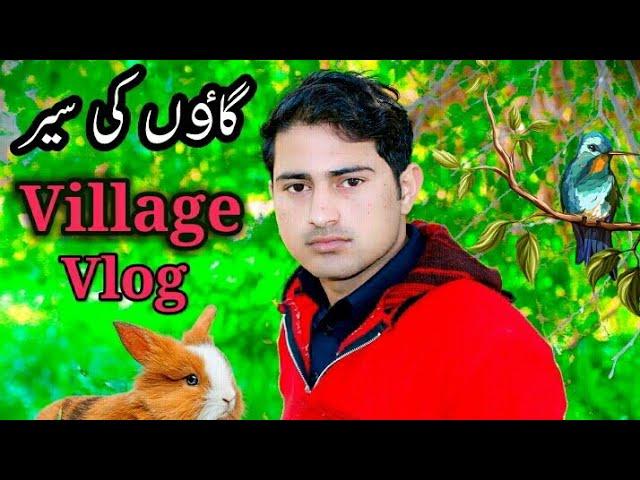 Village_Vlog | New_Video_2020_| My Fast Vlog |Shahzad Ali Studio | Village Life Pakistan |