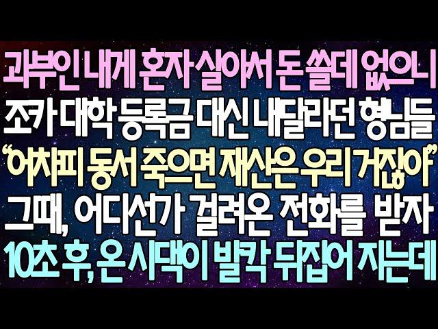 (반전 사연) 과부인 내게 혼자 살아서 돈 쓸데 없으니 조카 대학 등록금 대신 내달라던 형님들 어디선가 걸려온 전화를 받자 10초 후, 온 시댁이 발칵 뒤집어 지는데 /사이다사연