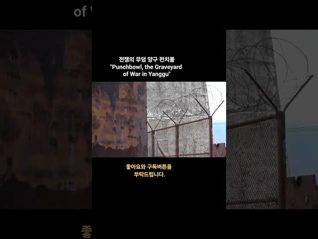 전쟁의 무덤 양구 펀치볼  "Punchbowl, the Graveyard of War in Yanggu"  #양구 #펀치볼 #전쟁 #무덤