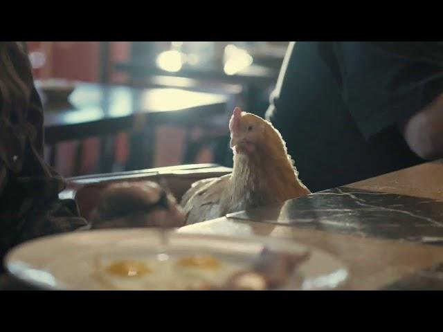 GEICO TV Commercial, 'Free-Range Chicken' Song by Roy Orbison