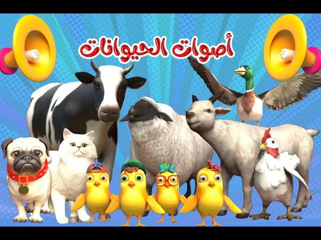 اغنية اصوات الحيوانات - دق دق مين عالباب | قناة بون بون للأطفال