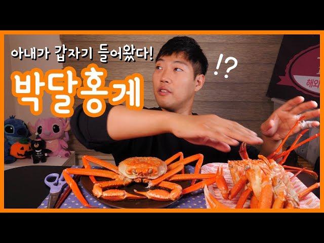 Eating King Crab | Real Sound | My Wife Came In