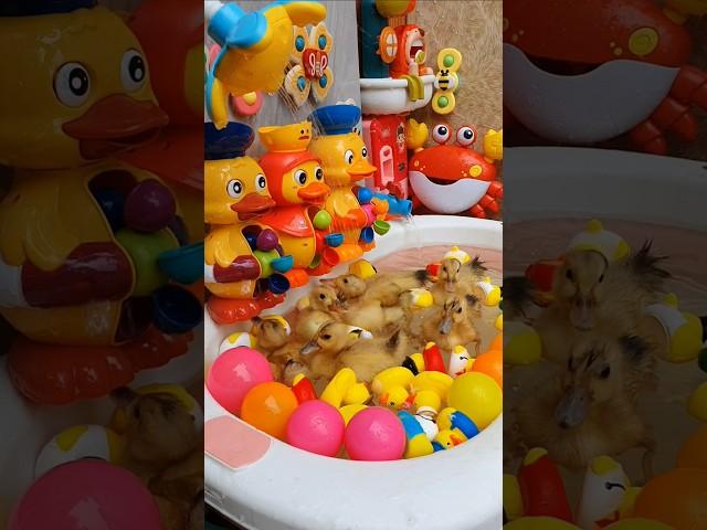 Duckling Cute Waterwheel Bath  ️ #duck #short