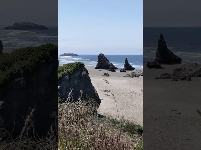 The RV Trip at Coquille Point! So wonderful and inspiring! Great views! #rvlife  @somedayistodayrv