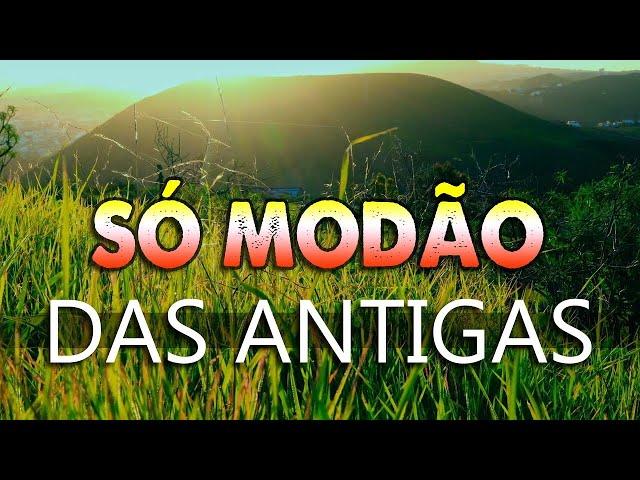 SÓ MODÃO DAS ANTIGAS  AS MELHORES  SERTANEJO RAIZ  MODA DE VIOLA