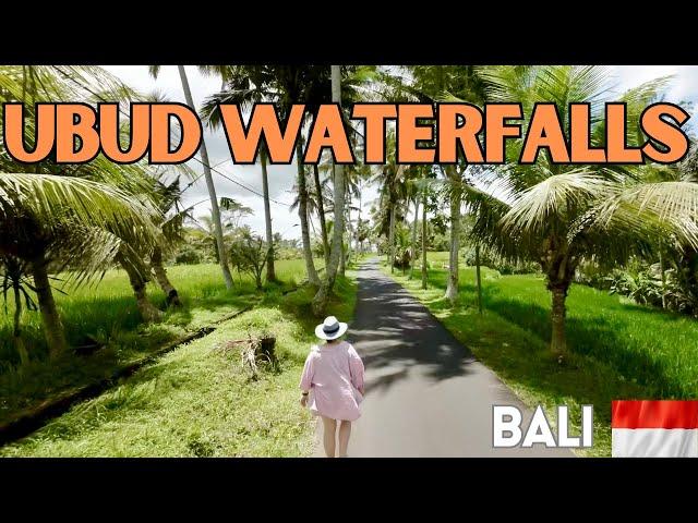 Ubud Waterfalls.  Just don't come here after its been raining