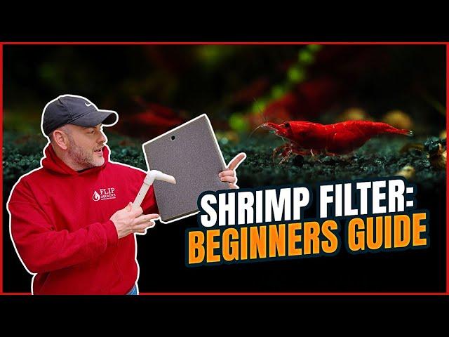 Shrimp Tank Filter | Best Filter for a Shrimp Tank [Shrimp Saturday]