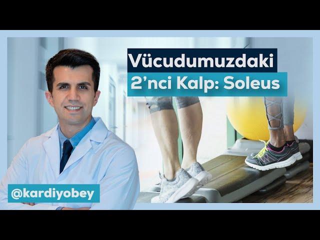 Vücudumuzda İki Kalp Olduğunu Biliyor Muydunuz? İşte O Kas!