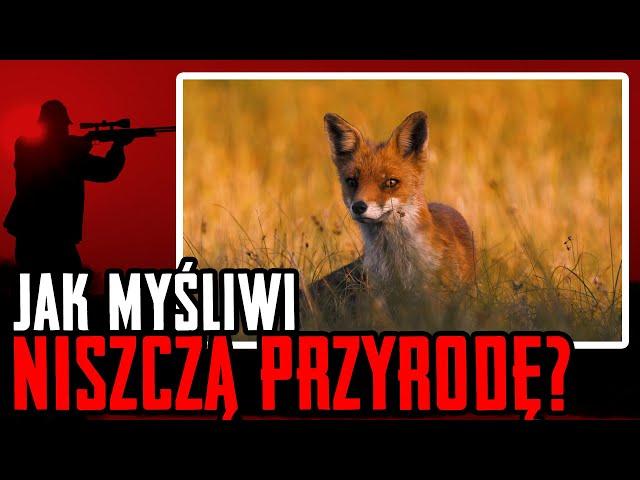 Jak myśliwi niszczą przyrodę?