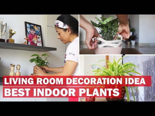 LIVING ROOM DECORATION (HINDI) | DECORATING HOME WITH PLANTS |Best Indoor Plants For Decoration |