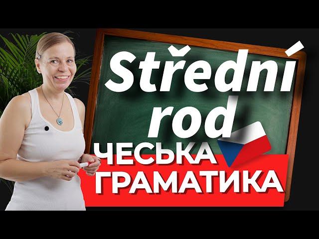 Іменники середнього роду множини в чеській мові. Чеська граматика.