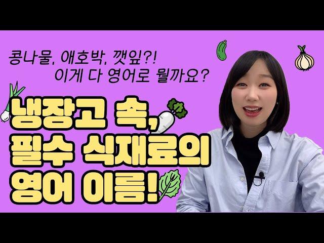 매일 보이는 냉장고속 식재료들이 영어로 궁금하다! 고수영어로? 콩나물 영어로? | 영어단어
