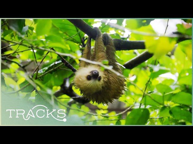 Costa Rica: Happiest Country in the World | Full Episode | TRACKS