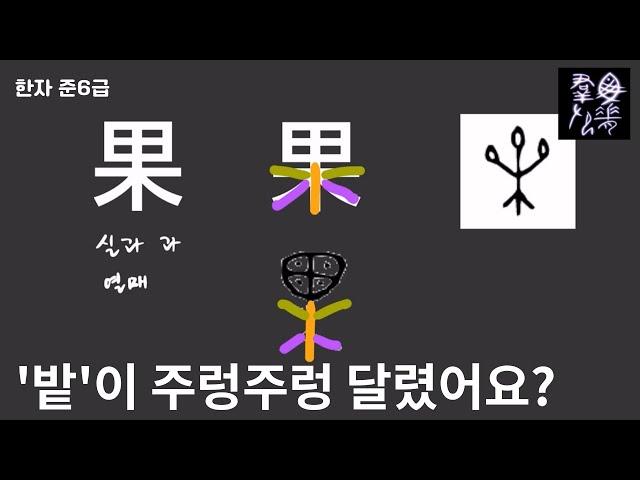 ‘밭’이 주렁주렁 달렸어요? | 그림으로 한자공부 [열매 과] | 어이없는 한자