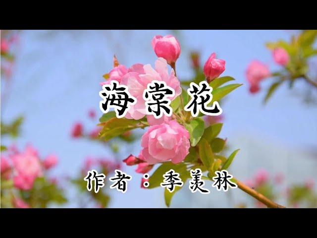 散文诵读《海棠花》作者：季羡林，诵读：微读时光