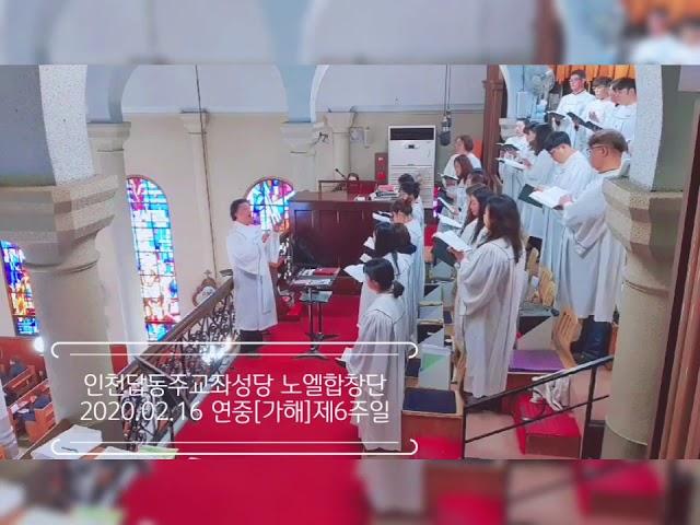 [Veni Jesu Amor mi ] 노엘합창단 2020.02.16 연중[가해]제6주일