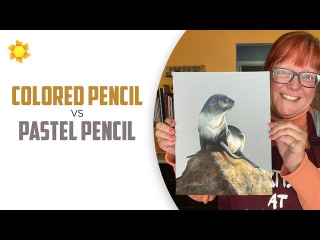 Colored Pencil vs Pastel Pencil (with Fur Seal painting)