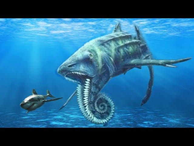 10 STRANGEST Prehistoric Sharks That Ever Lived!