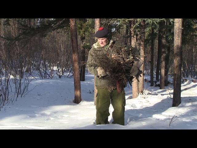 Winter Snow Fire Lay with Wilderness Living and Survival Expert Mors Kochanski