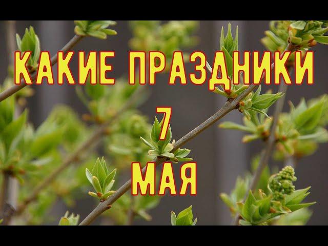 какой сегодня праздник? \ 7 мая \ праздник каждый день \ праздник к нам приходит \ есть повод