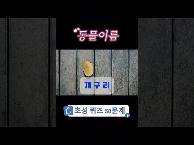 동물 초성 퀴즈 \ 뇌신경센터에서 하는 치매 예방 \ 영재 만들기 \ 두뇌건강 \ 하루5문제