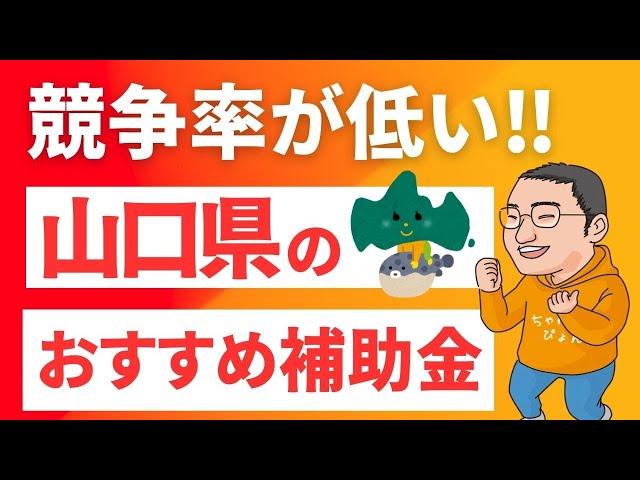 【狙い目】山口県でめっちゃ使える補助金を教えます！【県の補助金】