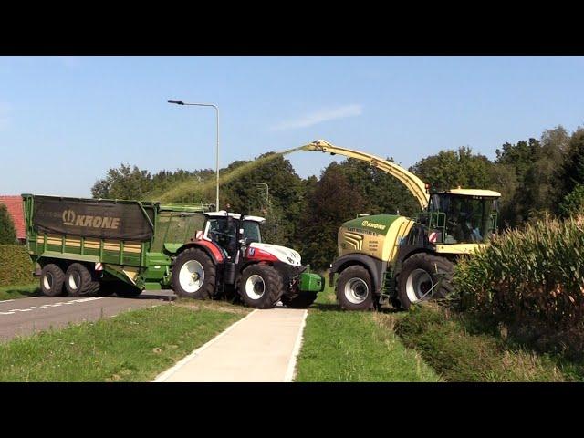 Maïs 2024 | 3x Steyer tractors met Krone TX460 silagewagen | Krone 630 | Munsters | Maize harvest