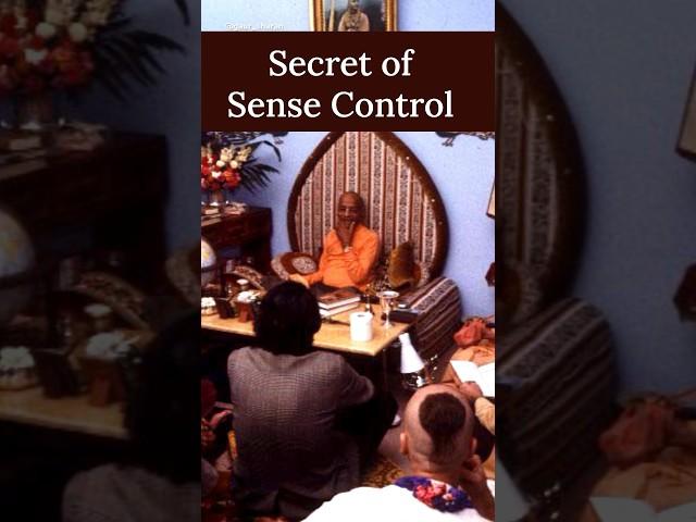 Secret of Sense Control | Prabhupada Shorts Lectures Bhagavatam Gita #prabhupadavani